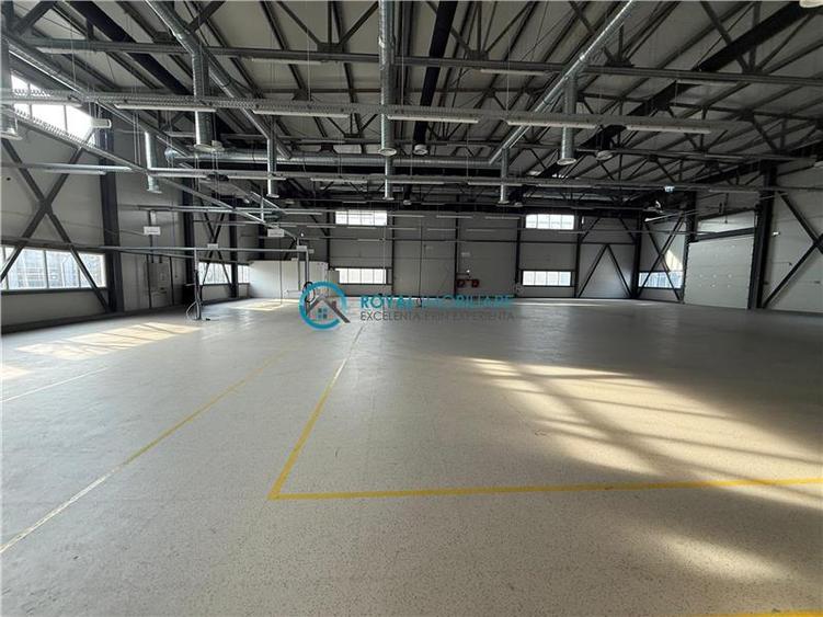 Royal Imobiliare-  Spatiu Industrial Zona Exterior Vest - 1