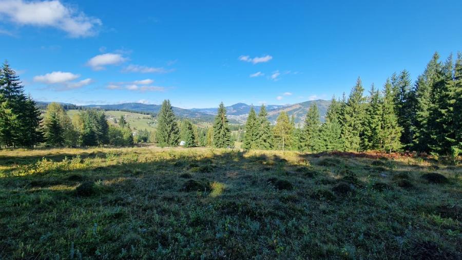 Teren intravilan in Bucovina, Dorna Arini - 10
