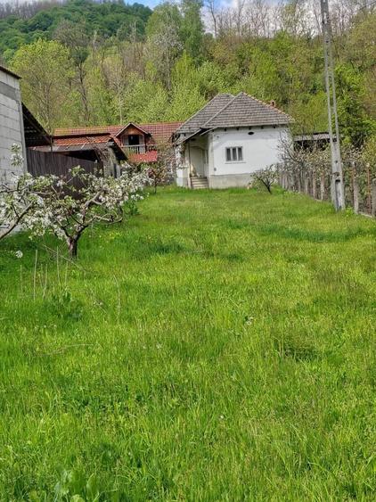 Case si teren de vanzare - 1
