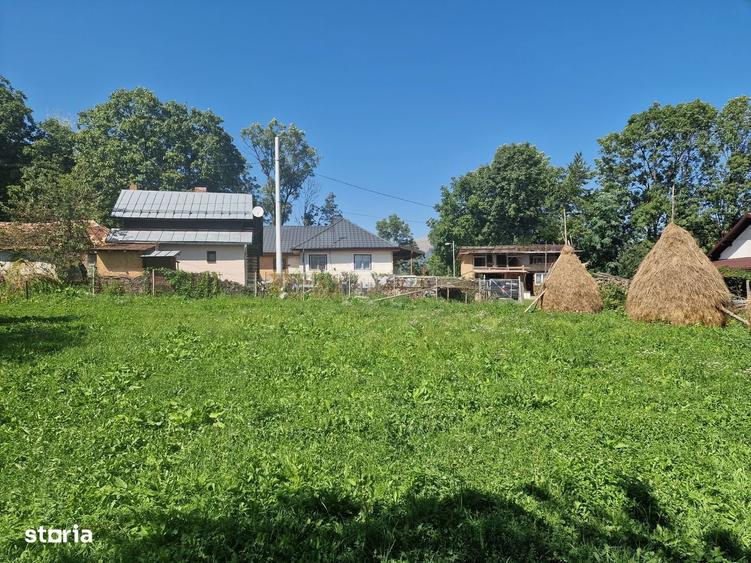 Teren intravilan + casa demolabila cu utilita?i ghiosesti - 3