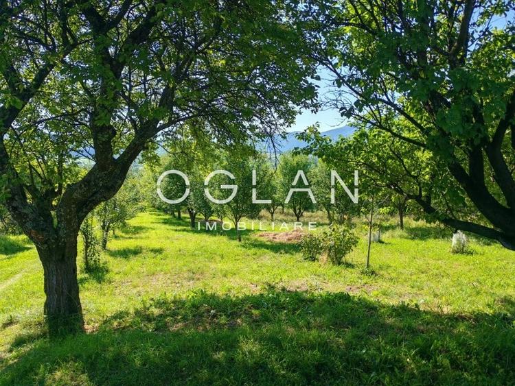 Terenul pe care se cladeste visul tau - Tocile, Sibiu - 8