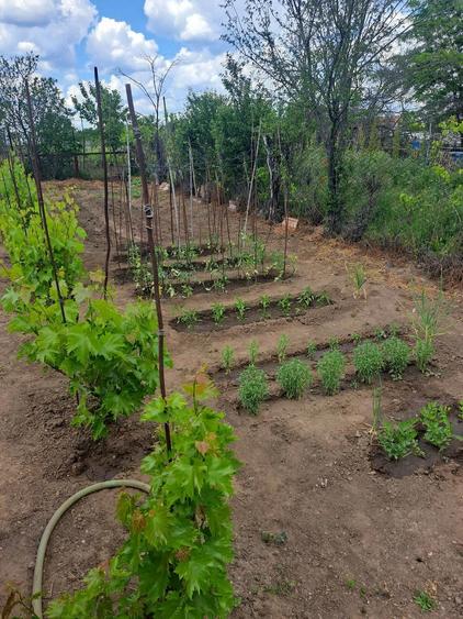 vand casa corabia - 10