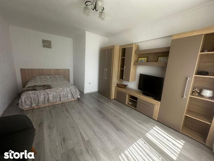 Inchiriere apartament 1 camera zona Calarasilor Viziru etaj 2 - 2
