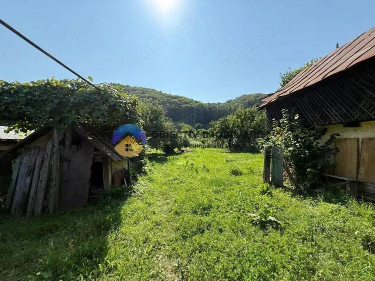 Casa batraneasca / Piatra Neam? / Pentru iubitorii de natura - 3