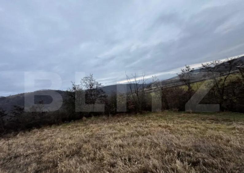 Teren extravilan 4300 mp, zona Criseni - Paclisa - 3