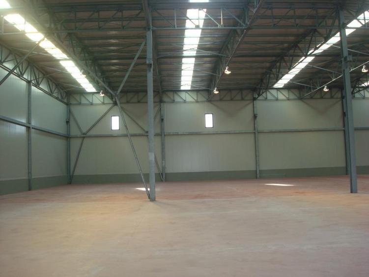 Zona Vest - Chitila - Centura - Integra - 2