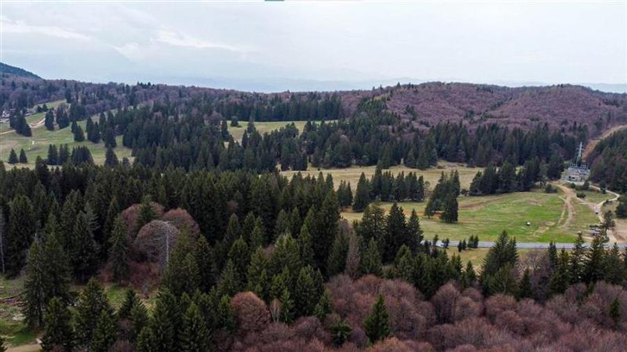 Teren cu potential:1.000 mp,proiect turistic/rezidential,Poiana Brasov - 5