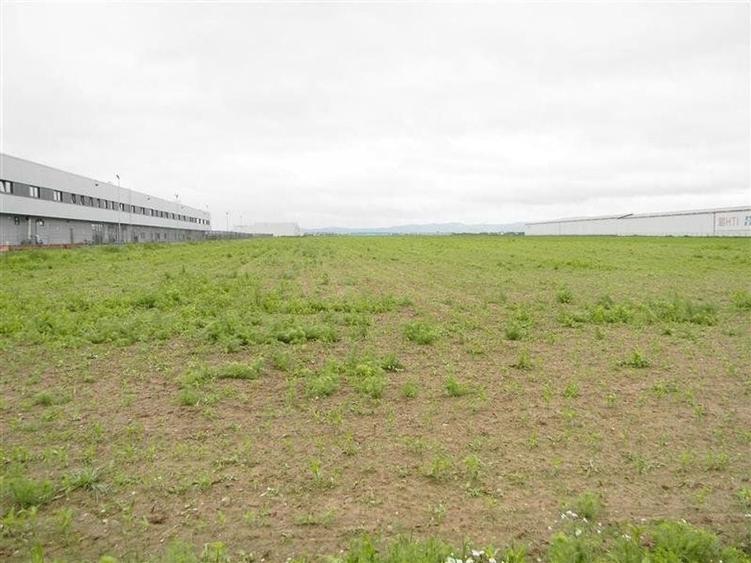 Teren pentru hale-Ghimbav-Joysonquin - 9