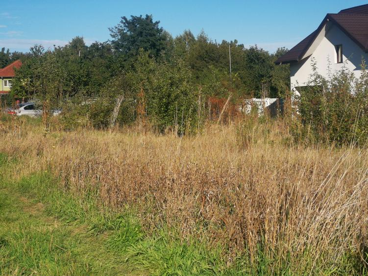 Valea Adanca -Mega Image ,  700/730/770 mp  ,full,zona de vile ,FARA BLOCURI - 14