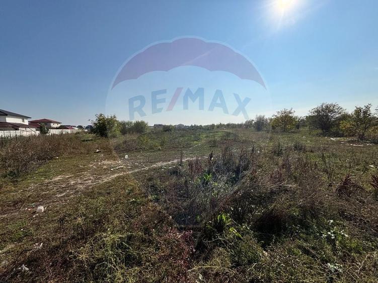 Teren 10.167mp zona Sos. Alexandriei intre Carrefour si Leroy Merlin - 5