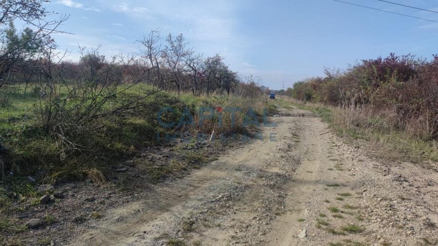 Teren extravilan 2000mp, front 50m, priveliste superba, Feleacu,  Wonderland - 2