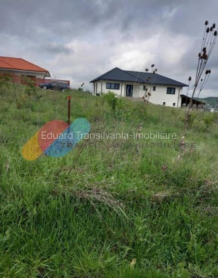 Teren intravilan 500mp