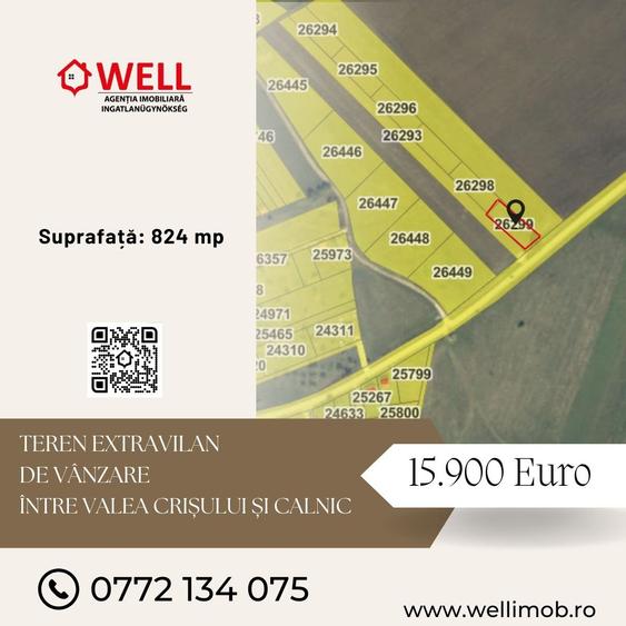Teren extravilan de vânzare între Valea Crișului și Calnic - 1