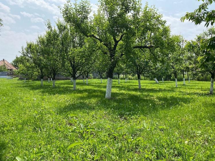 Teren de vanzare in Aiton - 14