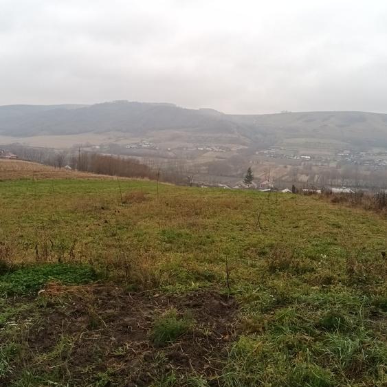 Casă de vacanța sau domiciliu permanent  - 8