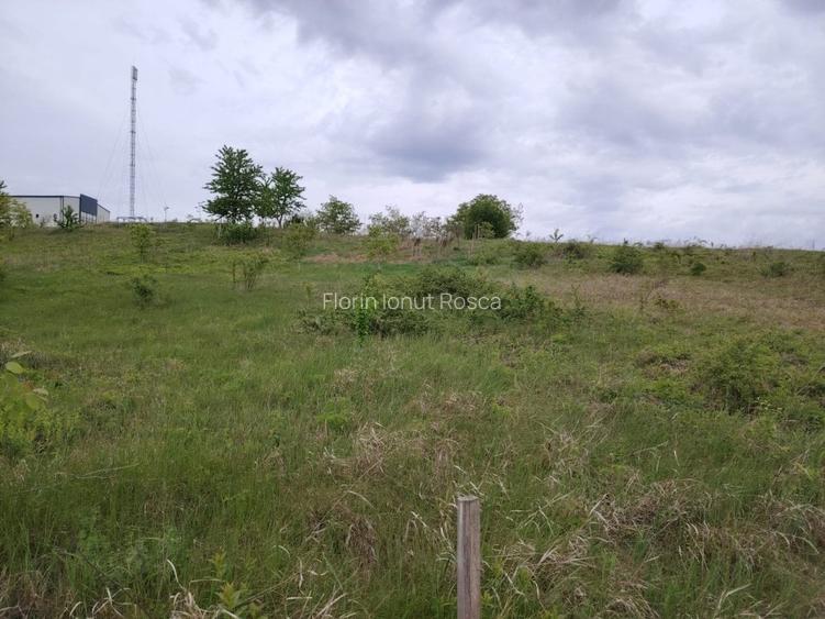 Teren intravilan 1800 mp, Centura-Ciurbesti-dubla deschidere
