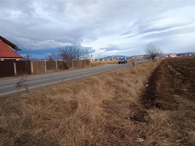 Teren 9000 mp Sacele Izvor, front 356 m la DJ 103A - 3