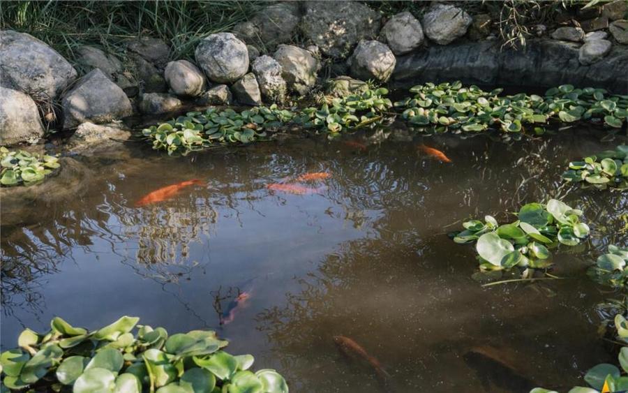 FILM3D!Cabana cu autenticitate, mobilata,utilata,teren700mp, - 1