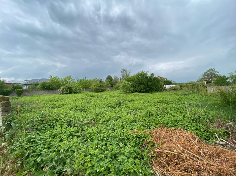 Islaz - Branesti - teren 1374mp - canalizare - gaze - curent - asfalt - 1