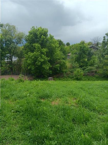 Ciurbesti Casa batraneasca cu TEREN 1347mp - 6