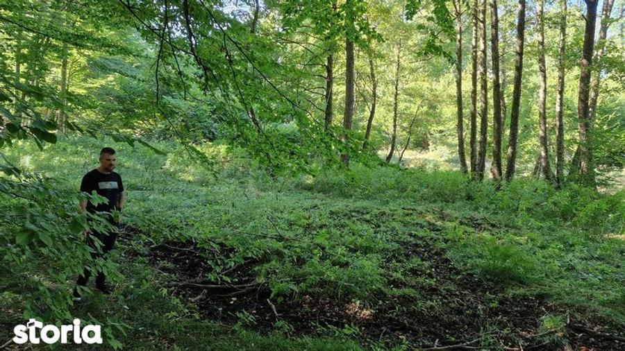 Teren langa Brasov - 6