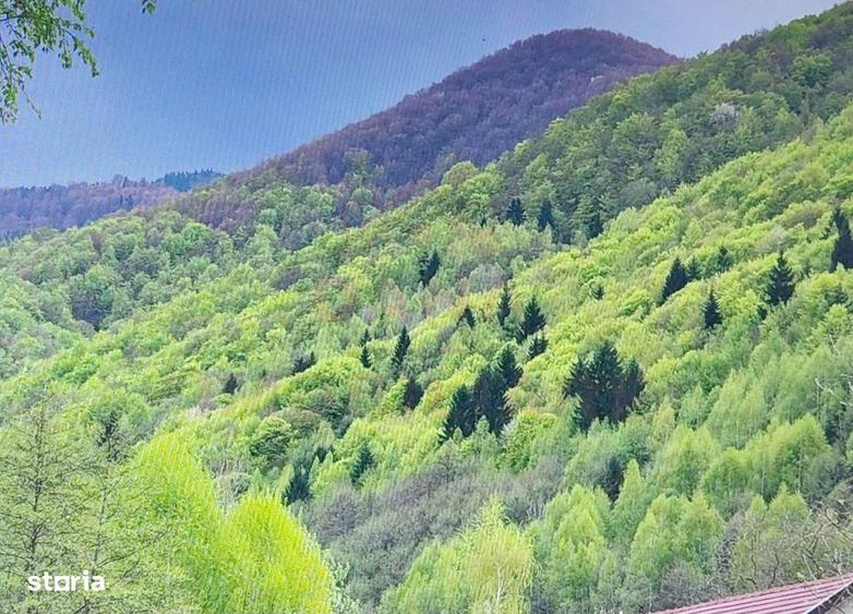 CASA\VILA DE VANZARE\ COMUNA MARGA\JUD. CARA?-SEVERIN\COMISION O% - 6