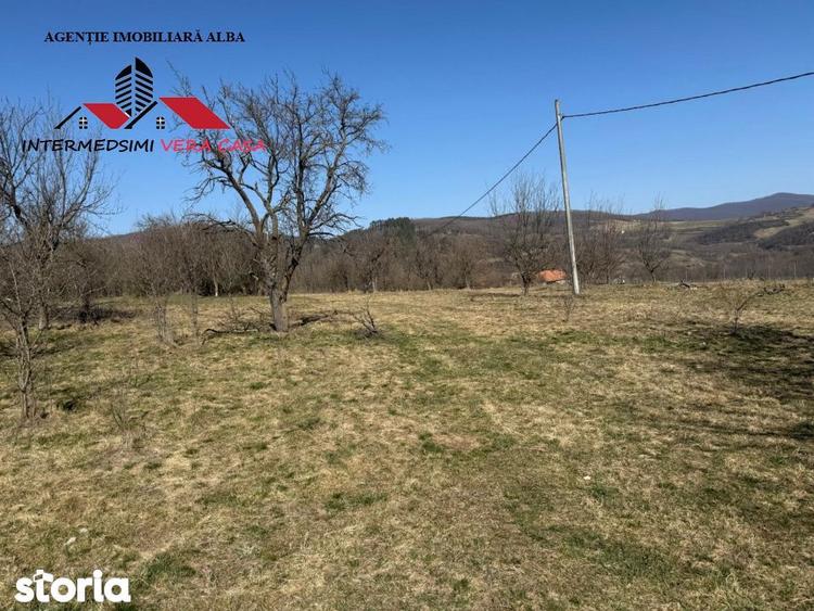 Casa si anexe cu un teren de 7701 mp de vanzare in Stauini Jud Alba - 16