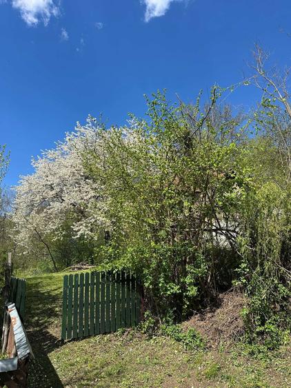 Casa Batraneasca + teren 1300mp Valenii de munte ( Comuna Teisani, sat Olteni, Valea Stalpului) - 1