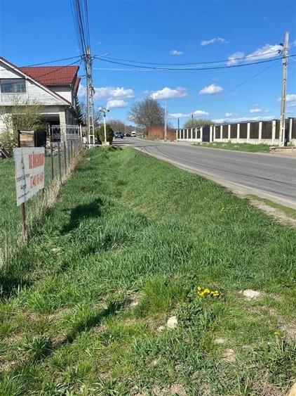 TEREN 1000 MP DE INCHIRIAT LA  STRADA PRINCIPALA IN CASIN - 2