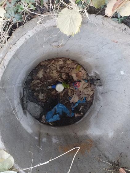 Casa de vanzare in Filipestii de Targ - 5