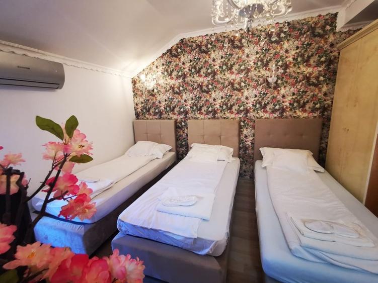 Hanul Potcoava Norocoasa – Business “la cheie“ Ortisoara !! - 24