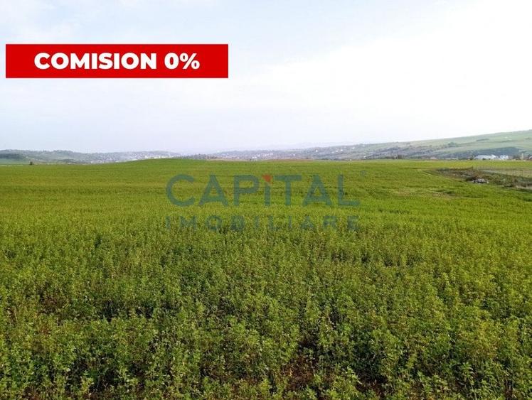 Teren intravilan 5500 mp Comuna Sandulesti - 1