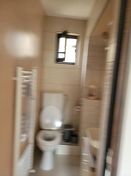 Vand apartament ultracentral, hol, 3 camere, 2 bai, garaj , anexe - 2