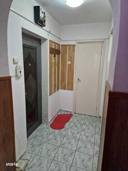 Apartament Dambu Pietros - 4