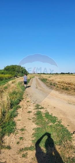 Teren agricol intravilan de 10000 mp, în Crevedia