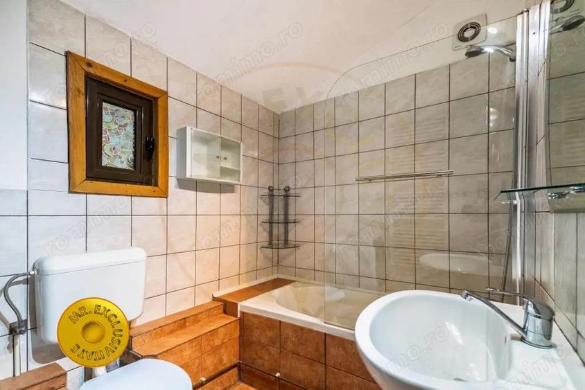 Doua case in aceeasi curte Pitesti, Strada Turcesti - 10