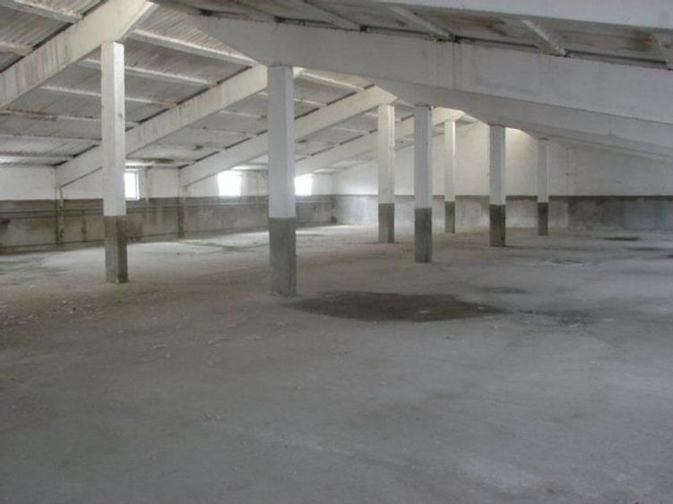 Hala pt depozitare 600 si 1200mp in Remetea Mare! Acces TIR - la sosea - 8