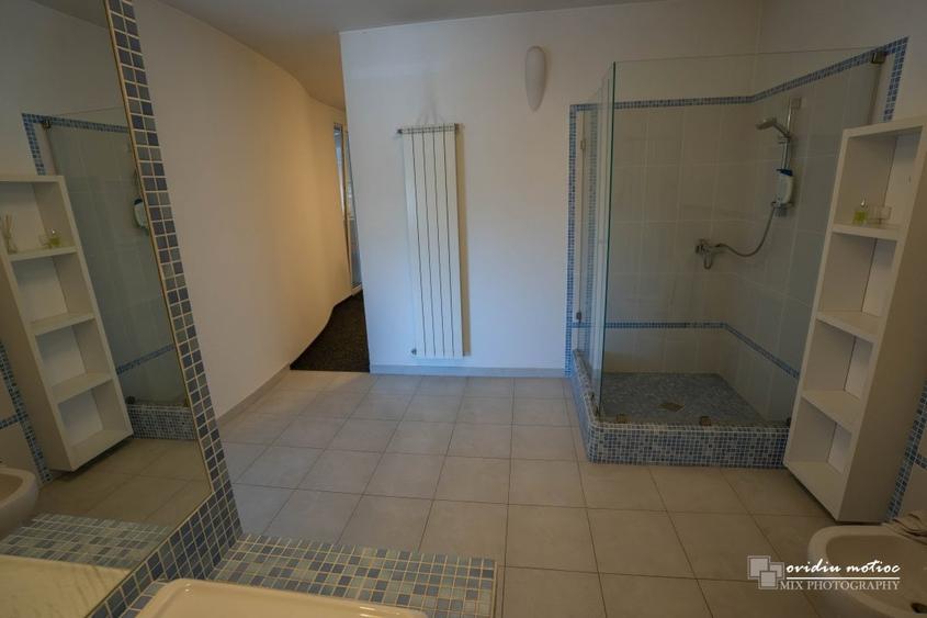 Hale cu deschidere la drumul european - 15