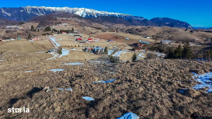 Comision 0%| Teren intravilan Sirnea 3756 mp| Priveliste superba - 11