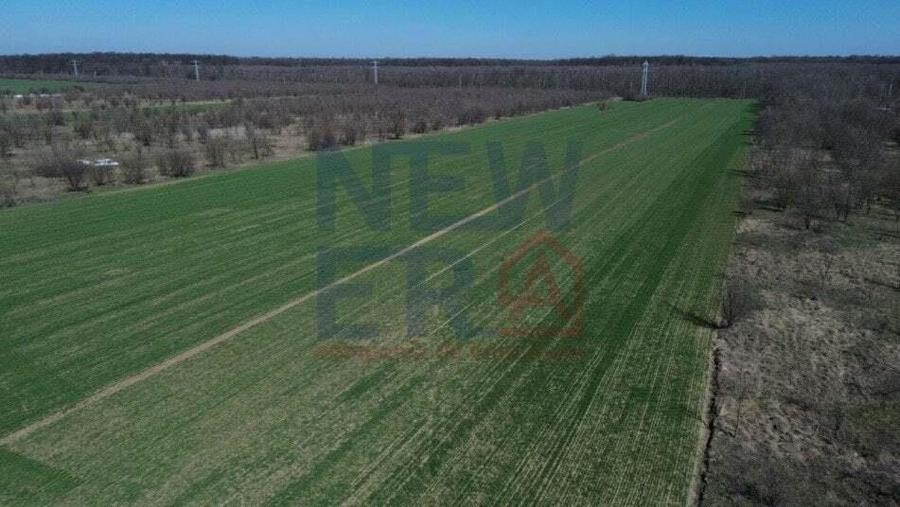 Teren de vanzare, Sabareni - 3