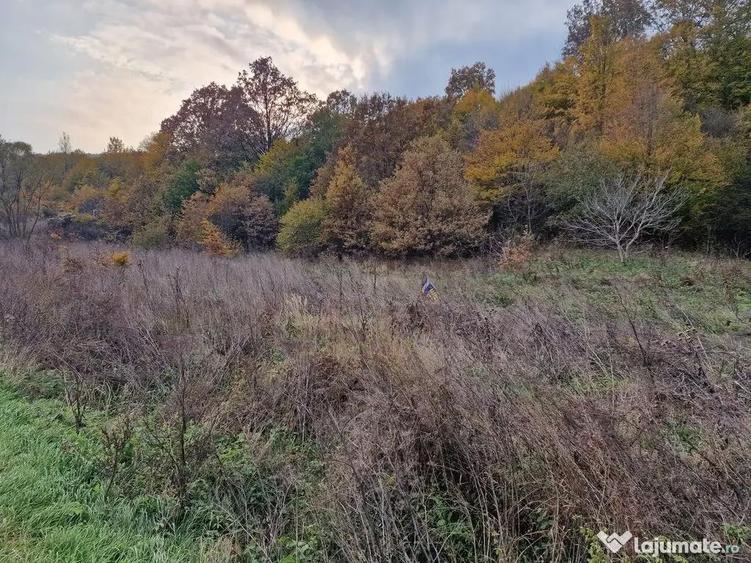 Teren 1,717mp Margineni / Strada Sat podis - 2