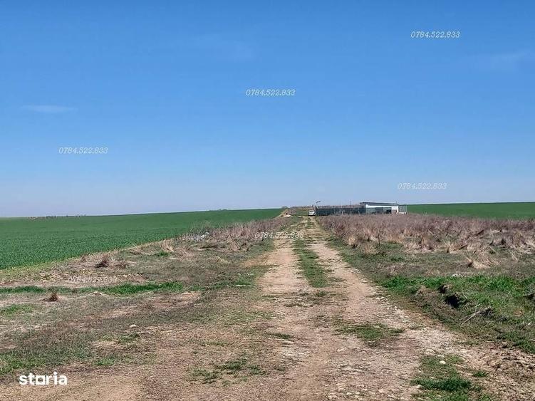 Teren intravilan RATE investitie sigura langa Bucuresti Berceni Ilfov - 2