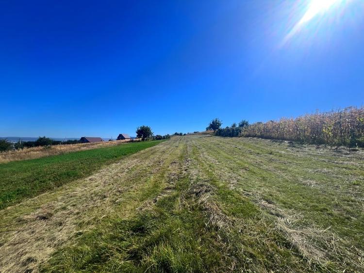 Teren intravilan - 1500 mp, Luizi-Calugara - 3