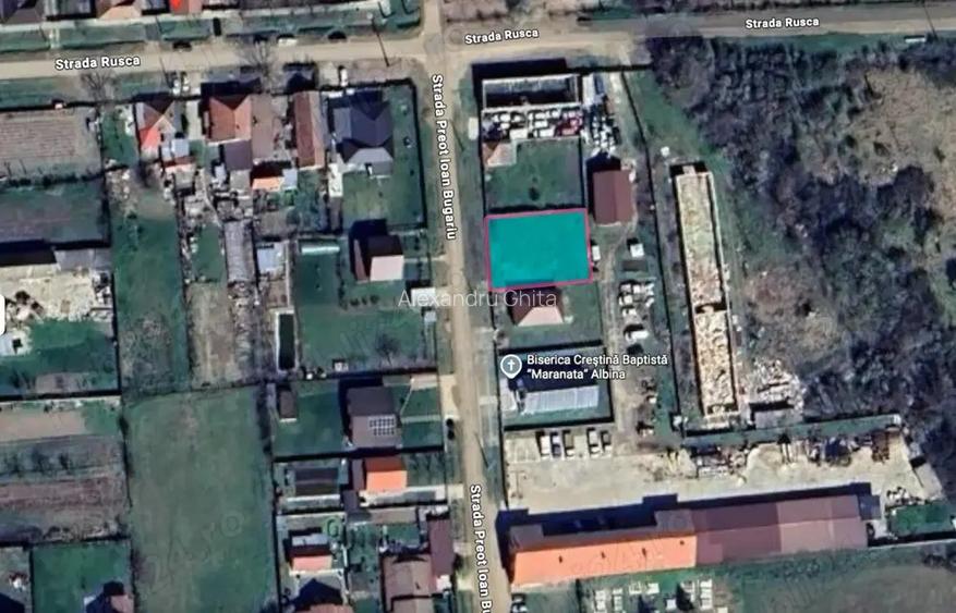 Teren intravilan 500mp in Albina
