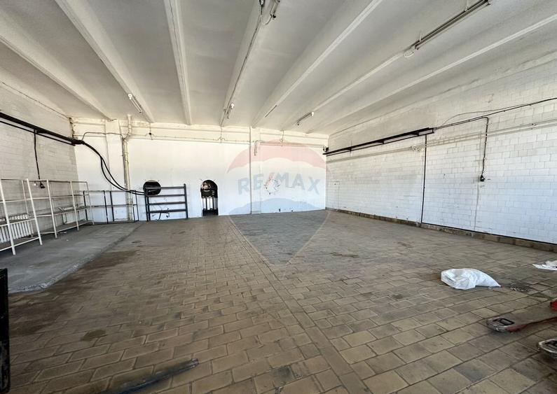 Hale Brailei Plus Frig - 6