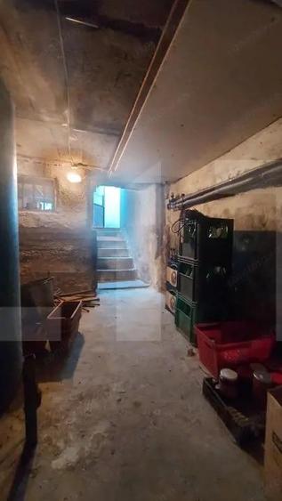 Casa cu Sauna Finlandeza + Atelier Auto in Sfantu Gheorghe - 19