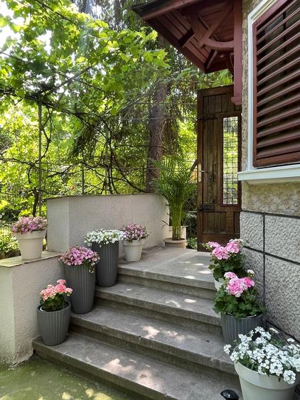 Parter in Vila cu intrare Individuală / Cotroceni/ Centrala Proprie - 1