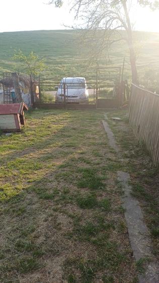 Casa cu teren 1 hectar in sat Roscani, la 40 km de Iasi. - 2