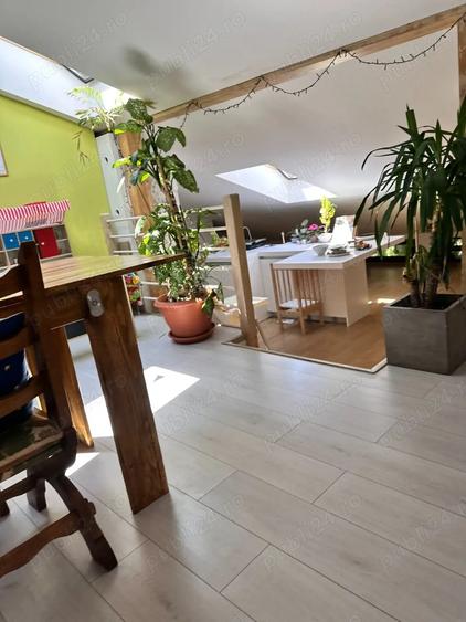 Casa in zona centrala( spatiu comercial casa de locuit) singur in curte - 4