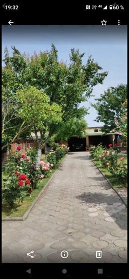 Sanandrei - Central - Duplex 5 Camere - 8